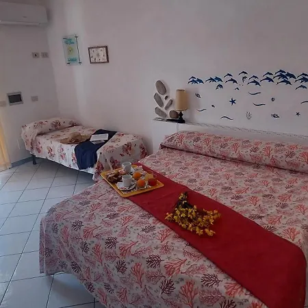 Bed and breakfast Flavia - Adults Only Ponza