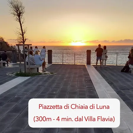 Flavia - Adults Only